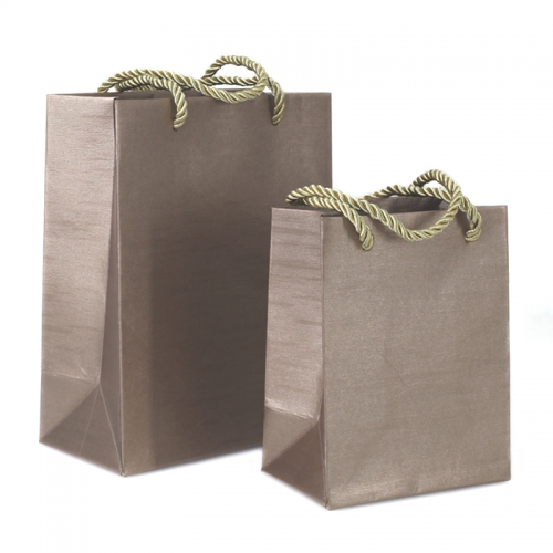 Paper bag / brown paper bag / paper bags wholesale / custom paper bags